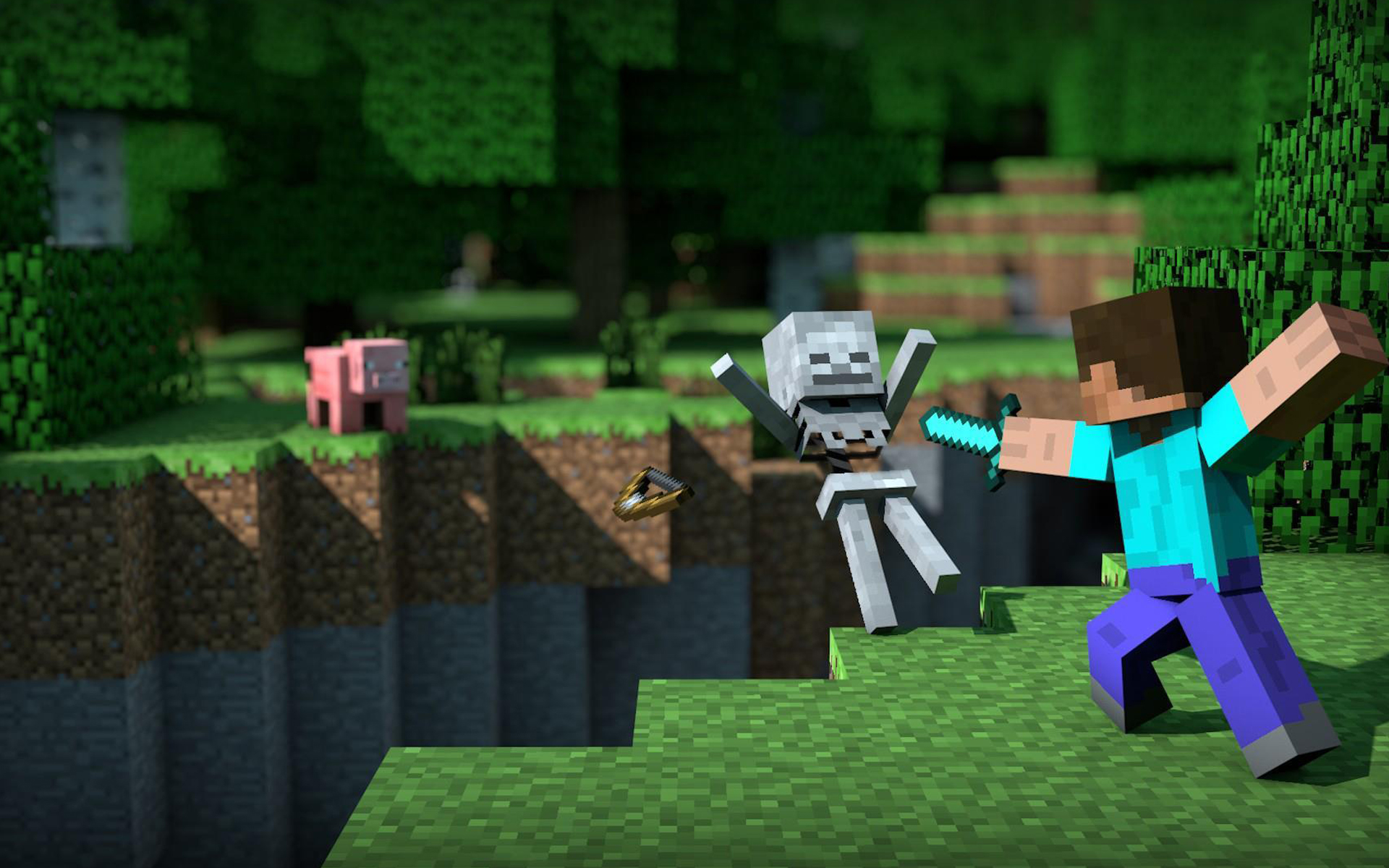 Minecraft Java Edition slider banner
